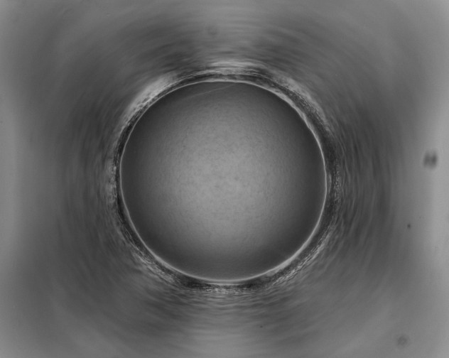 X0000098211362200805011201