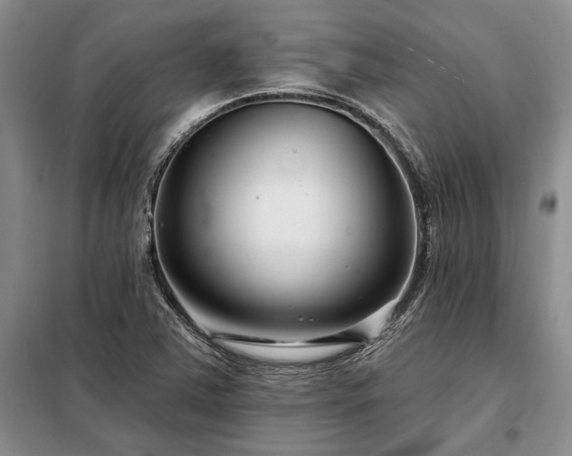 X0000098211363200805011201