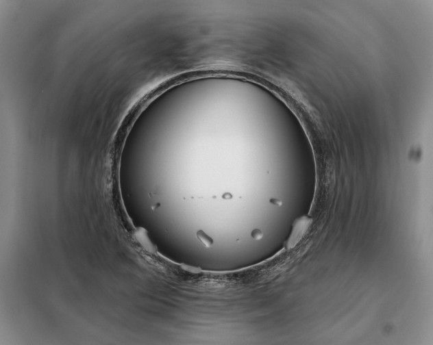 X0000098211364200805011201