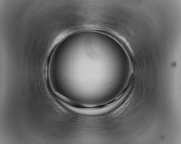 X0000098211365200805011201