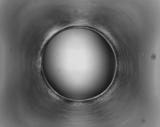 X0000098211366200805011200