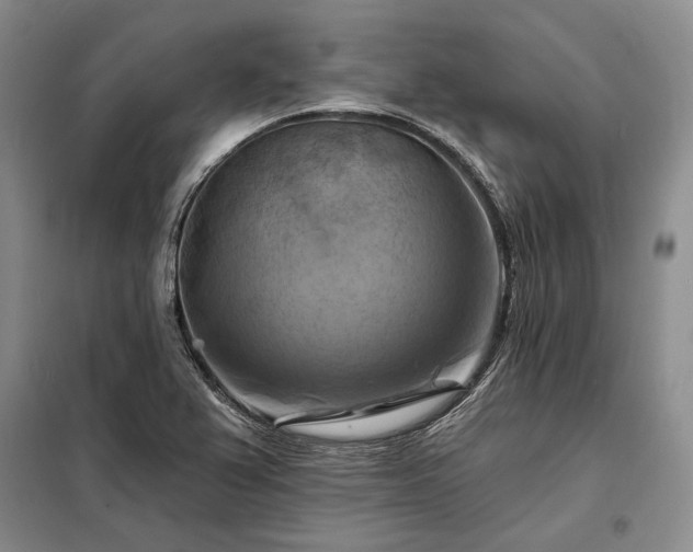 X0000098211367200805011200