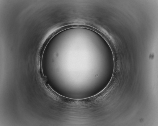 X0000098211368200805011200