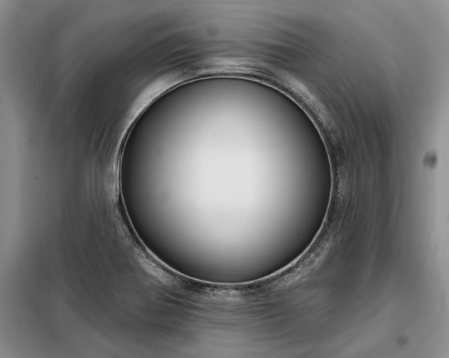 X0000098211370200805011200