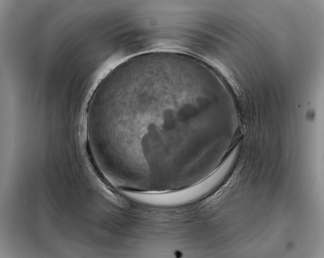 X0000098211371200805011200