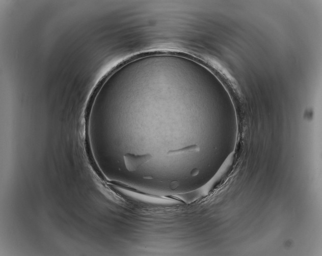 X0000098211372200805011200