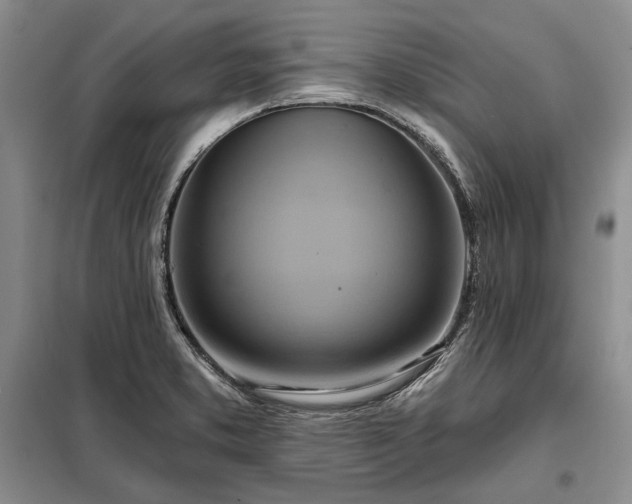 X0000098211373200805011200