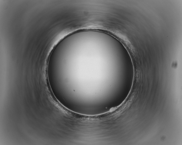 X0000098211374200805011200