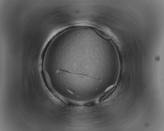 X0000098211376200805011200