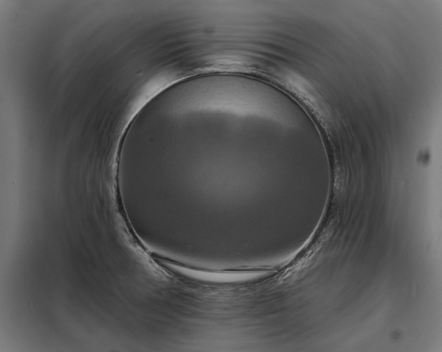 X0000098211378200805011200