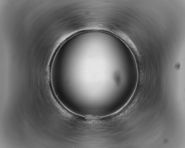 X0000098211380200805011200