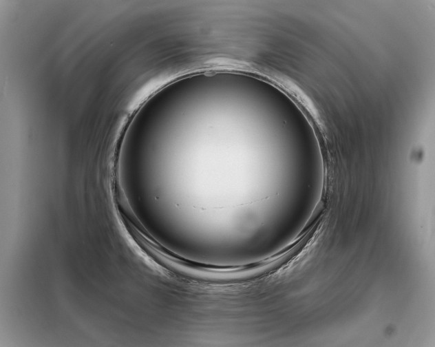 X0000098211381200805011200