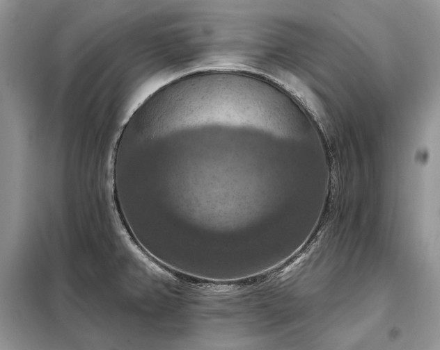 X0000098211382200805011200