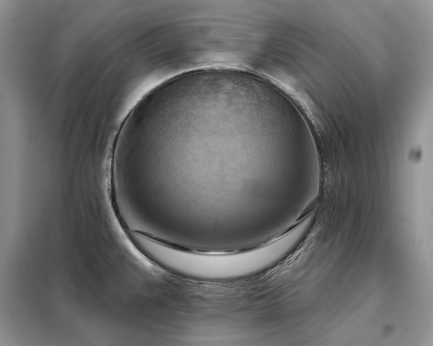 X0000098211383200805011200