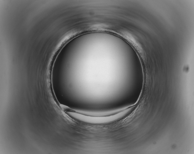 X0000098211384200805011200