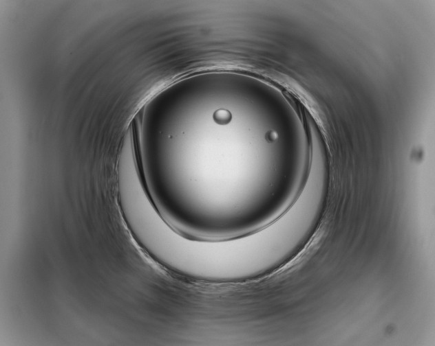 X0000098211385200805011200
