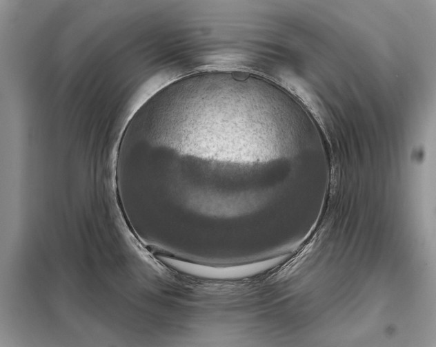 X0000098211386200805011200