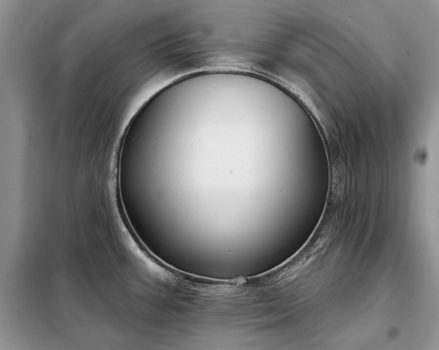 X0000098211387200805011200
