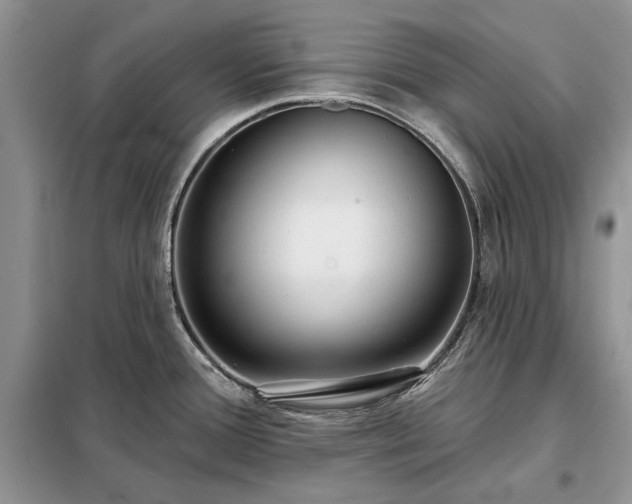 X0000098211388200805011200
