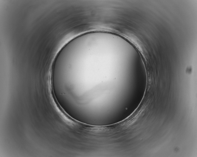 X0000098211391200805011200