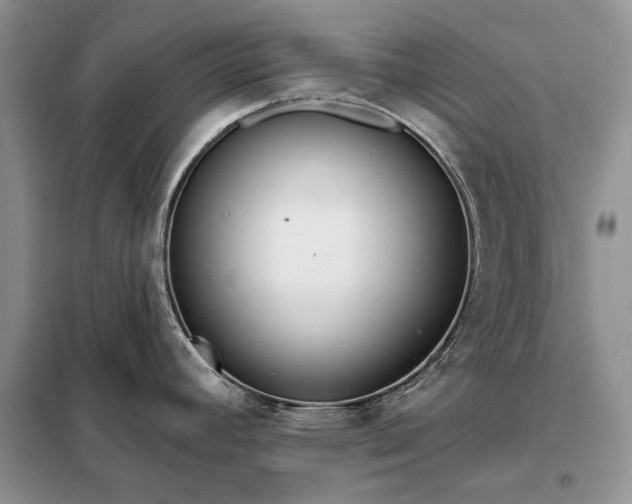 X0000098211392200805011200