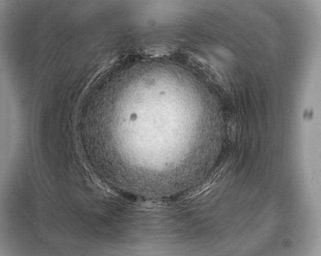 X0000098211393200805011159