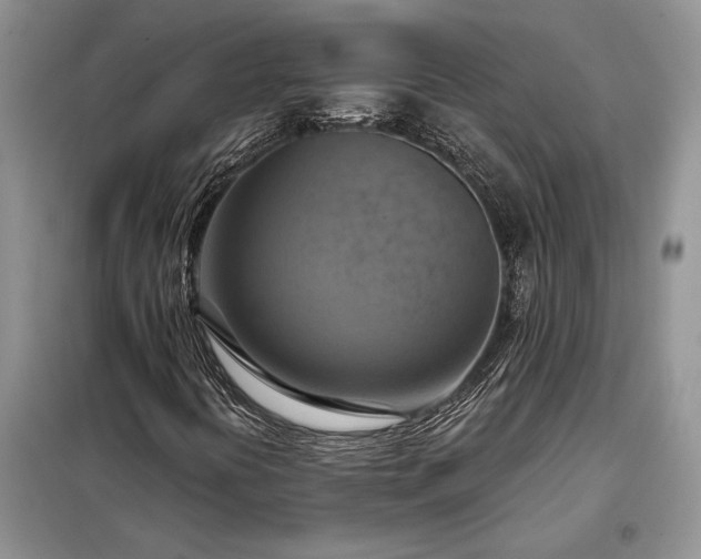 X0000098211394200805011159