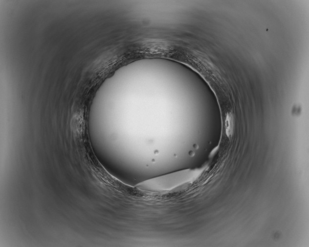X0000098211395200805011159