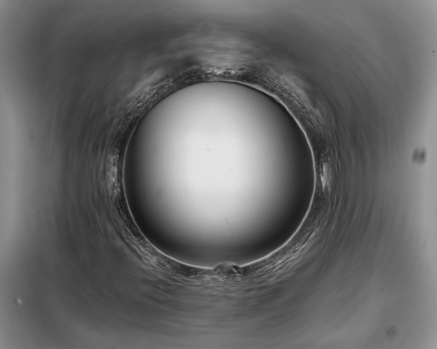 X0000098211396200805011159
