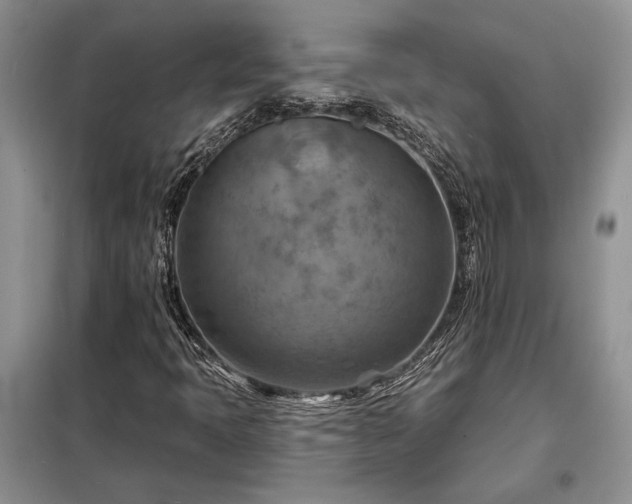 X0000098211397200805011159
