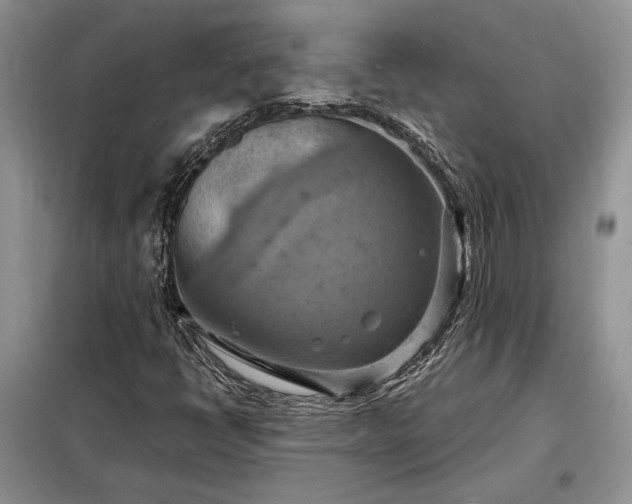 X0000098211398200805011159