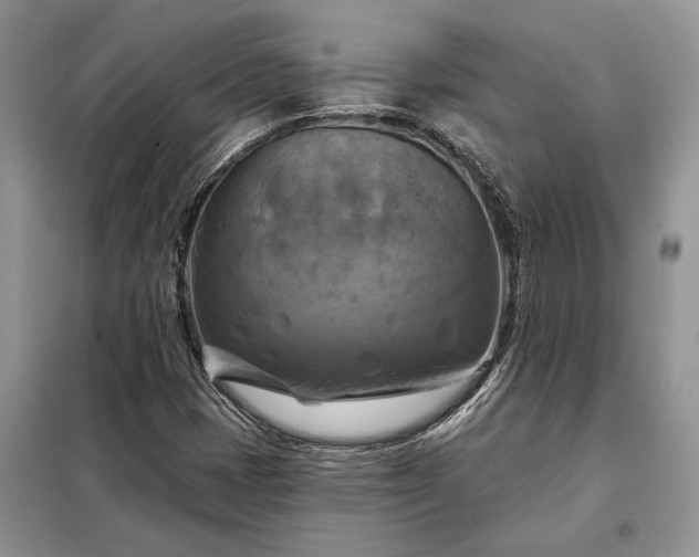 X0000098211401200805011159