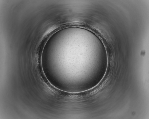 X0000098211402200805011159