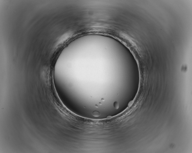 X0000098211403200805011159