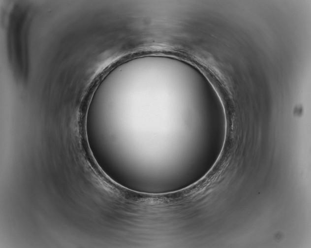 X0000098211404200805011159