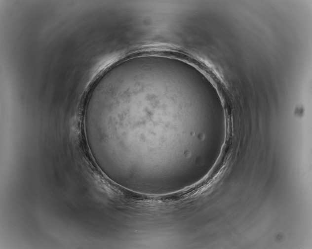 X0000098211405200805011159