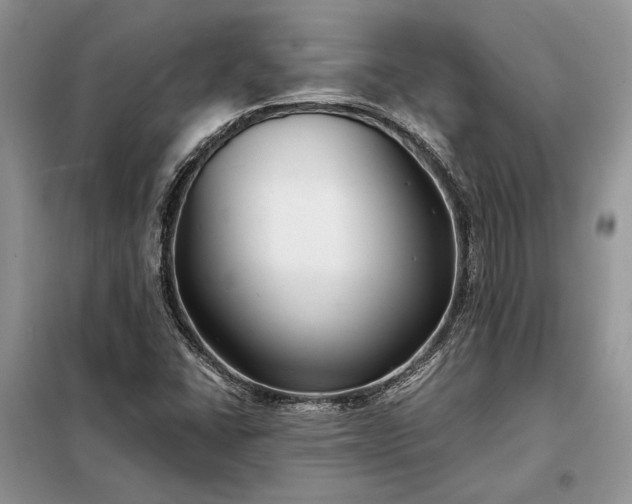 X0000098211406200805011159