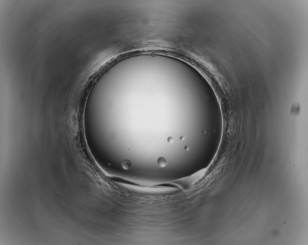 X0000098211407200805011159