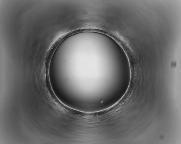X0000098211408200805011159
