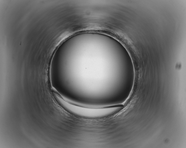 X0000098211409200805011159