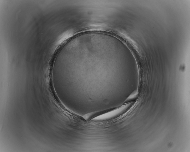 X0000098211411200805011200