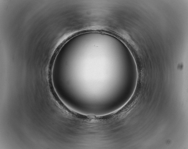 X0000098211412200805011200