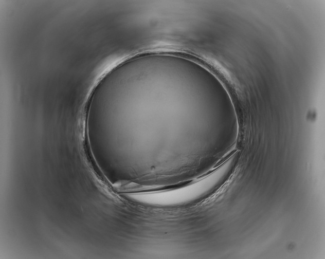 X0000098211413200805011200