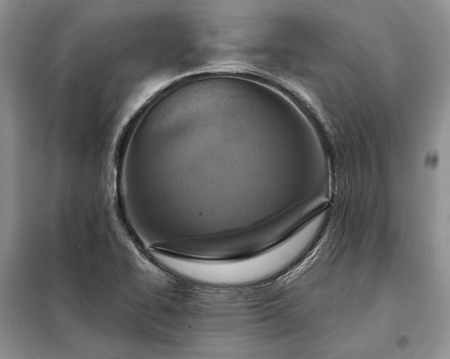 X0000098211414200805011200