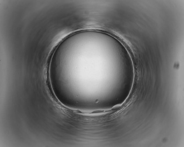 X0000098211415200805011200