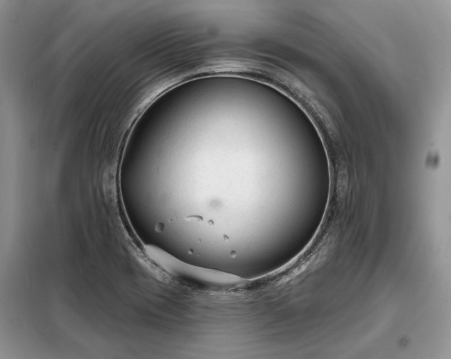 X0000098211417200805011200