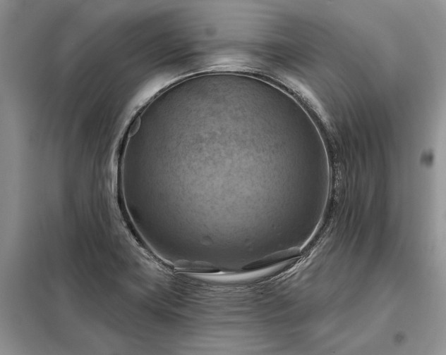 X0000098211419200805011200