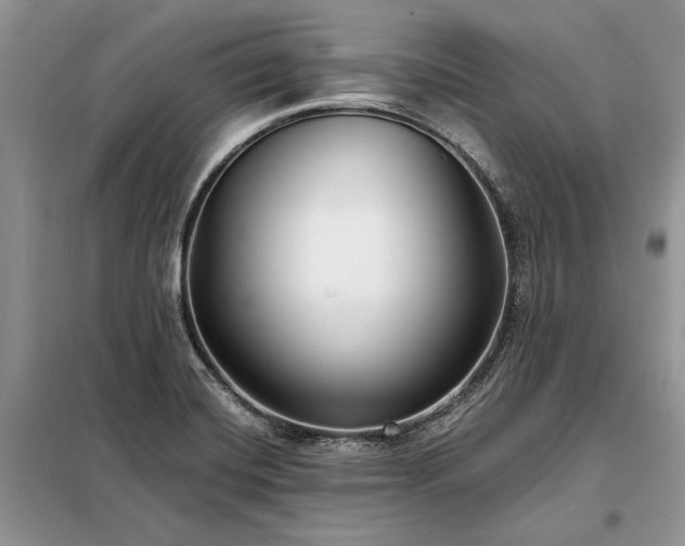 X0000098211420200805011200