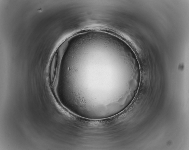 X0000098211421200805011200