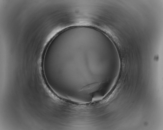 X0000098211422200805011200